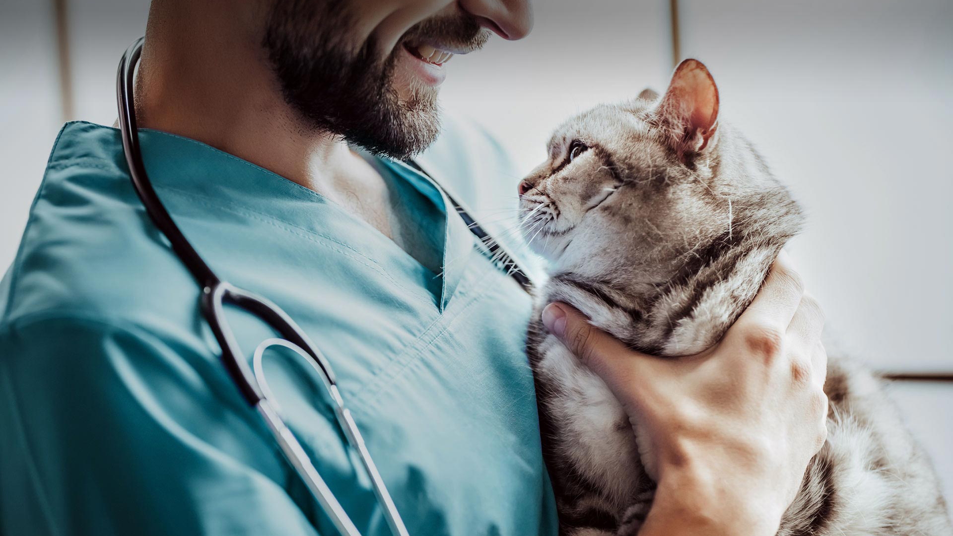 Güzelyalı Veteriner